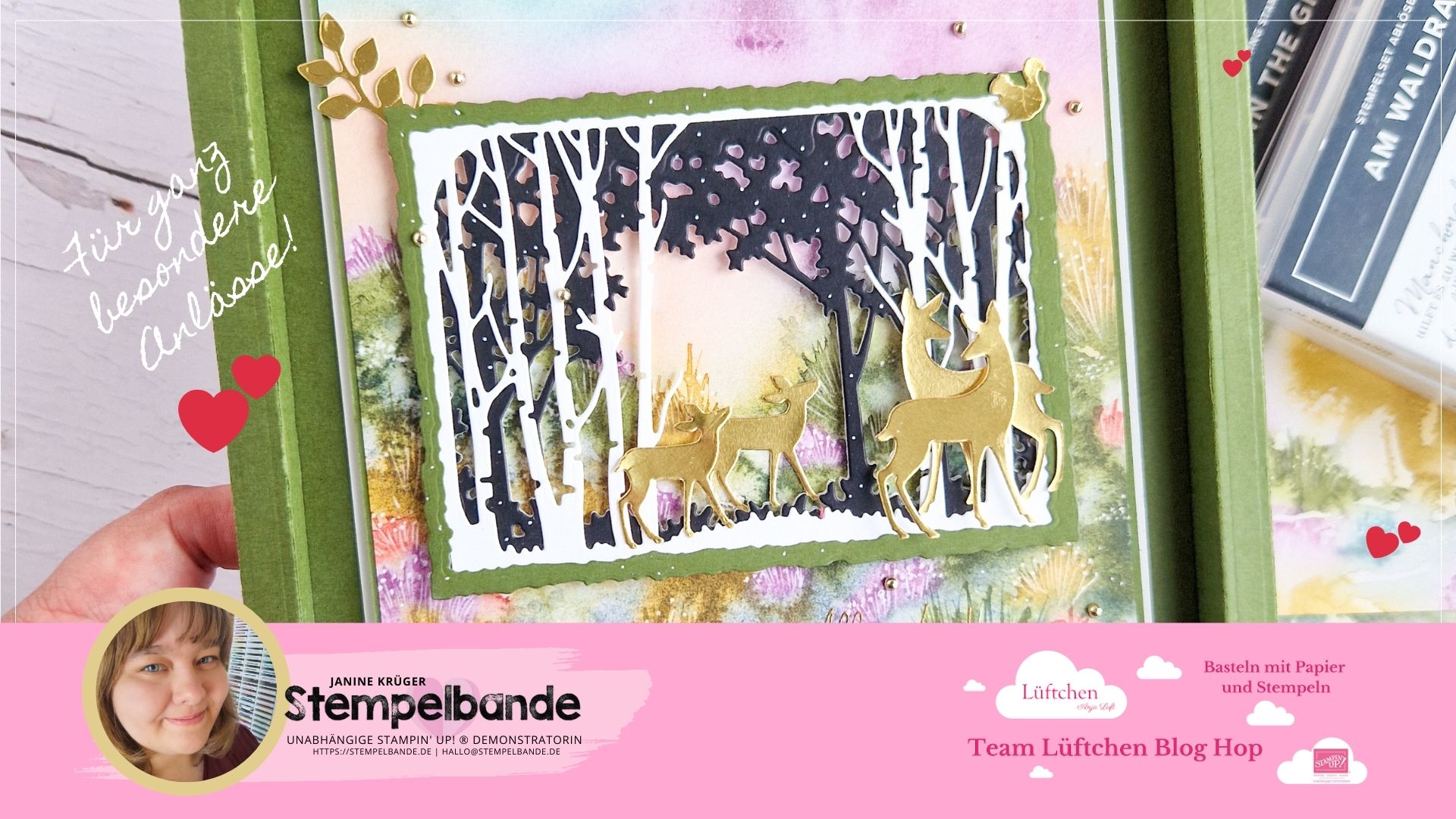 3D Rahmenbox, Shadow Box mit den Produkten von Stampin' Up! Anleitung.